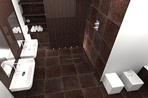 Virtual World Wet Rooms